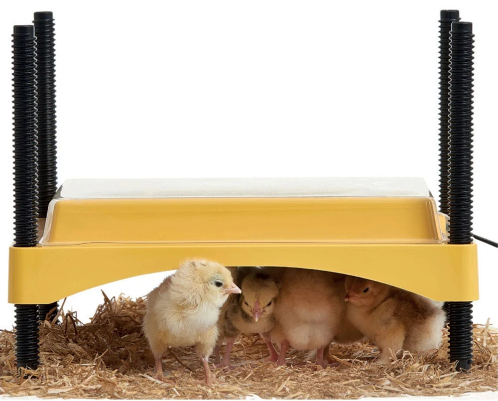EcoGlow 600 Chick Brooder and Replacement Covers - Weidukt
