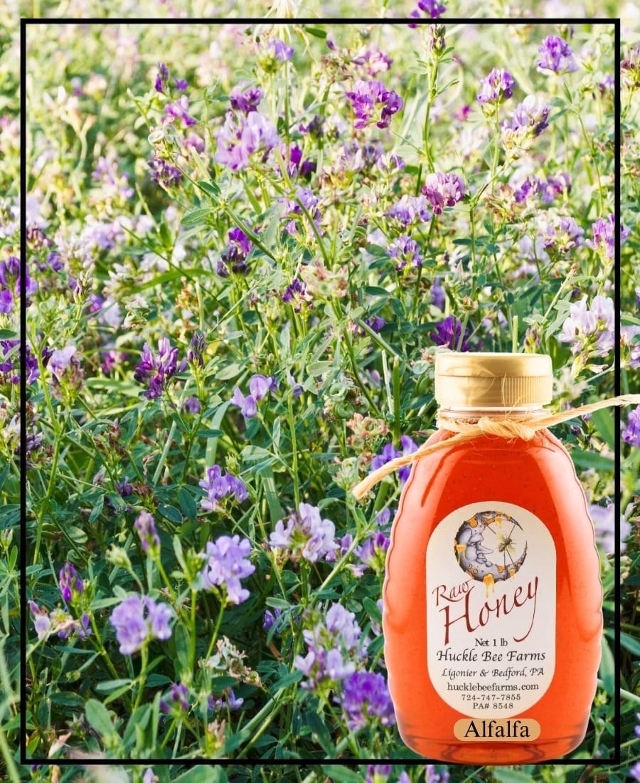 Alfalfa Honey - Weidukt