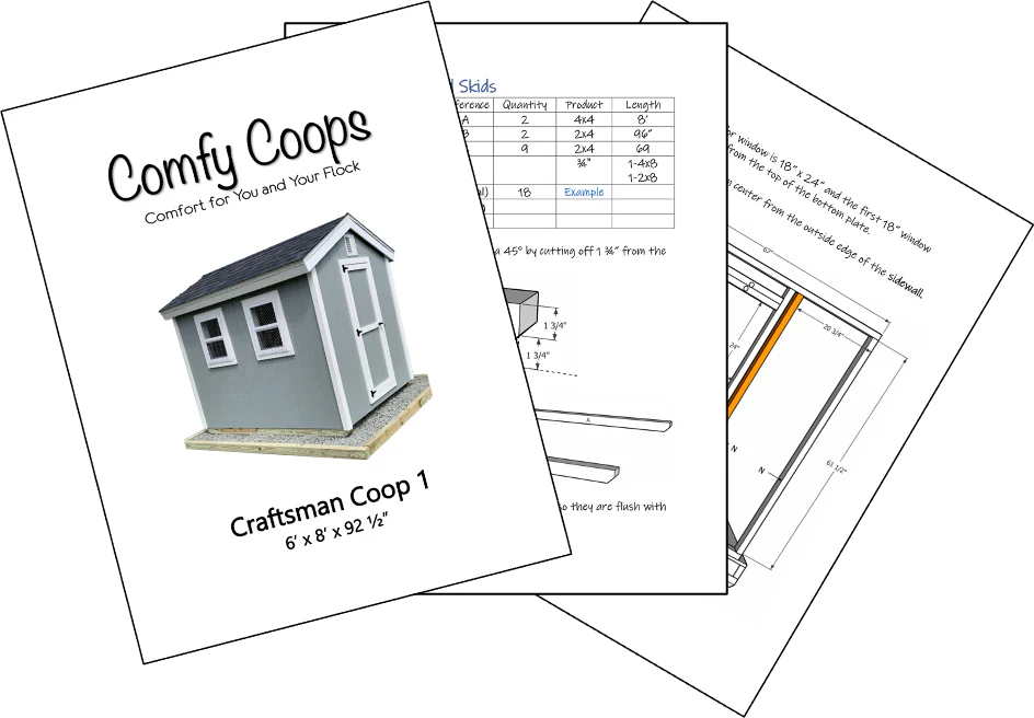 Easy Chicken Coop Plans 6x8 (Up to 20 Chickens) - Weidukt