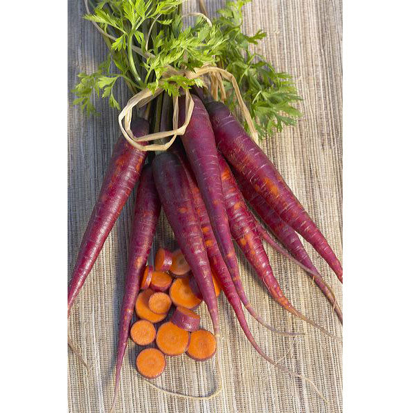 Cosmic Purple Carrot Seeds (Organic) - Weidukt