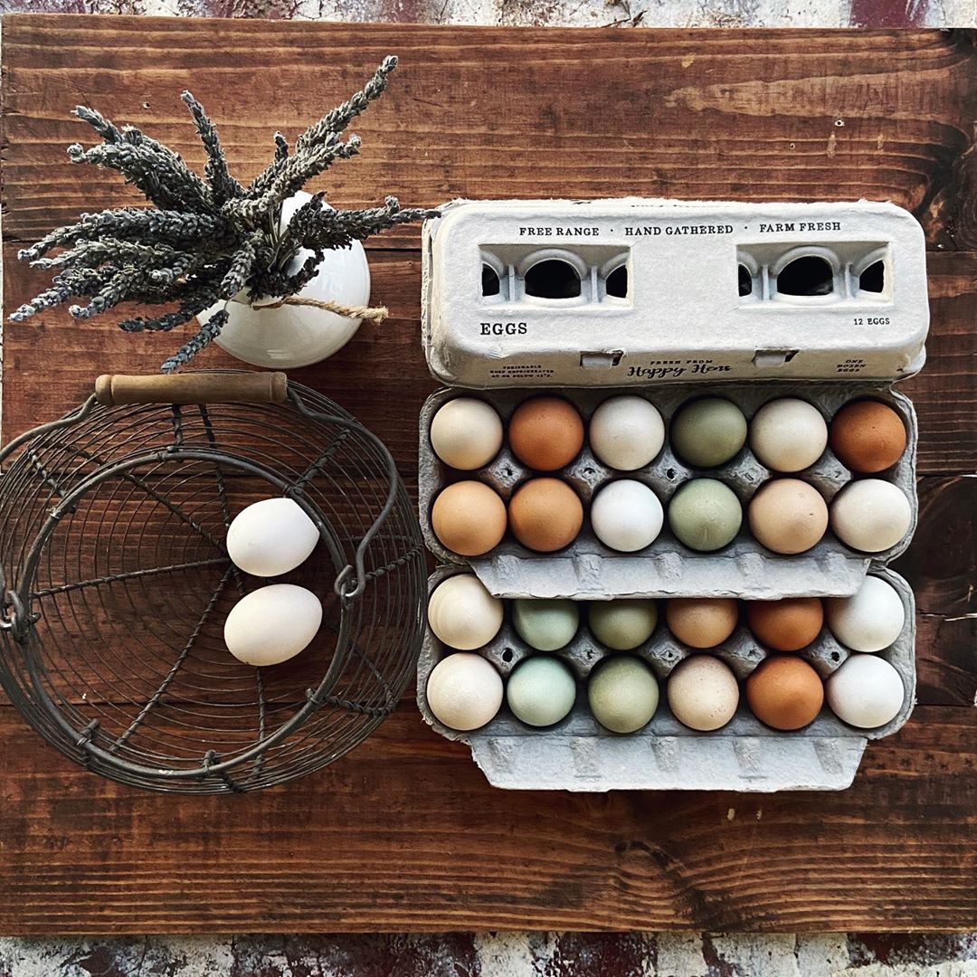 Egg Cartons - Weidukt