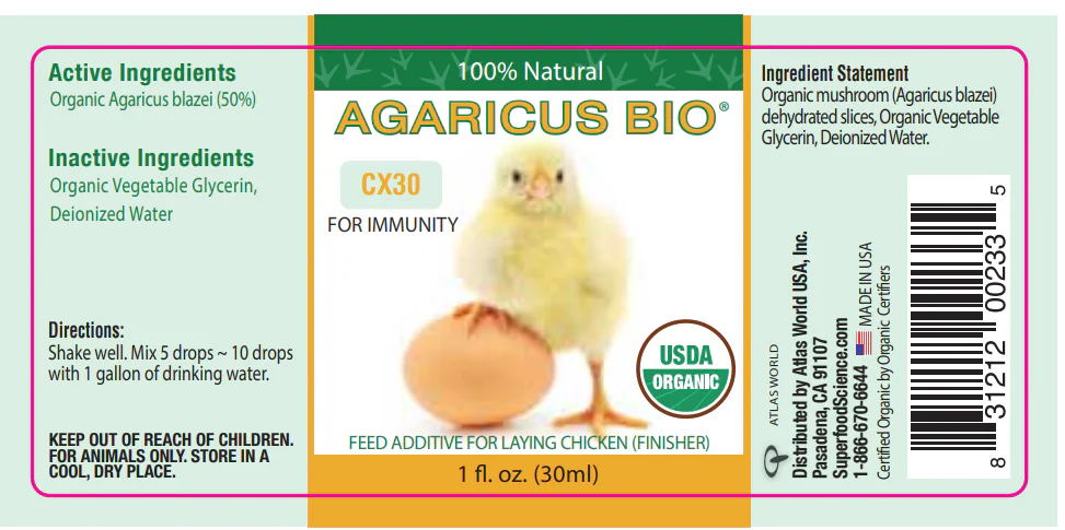 Agaricus Mushroom Extract for Immune Health, 1 oz. - Weidukt