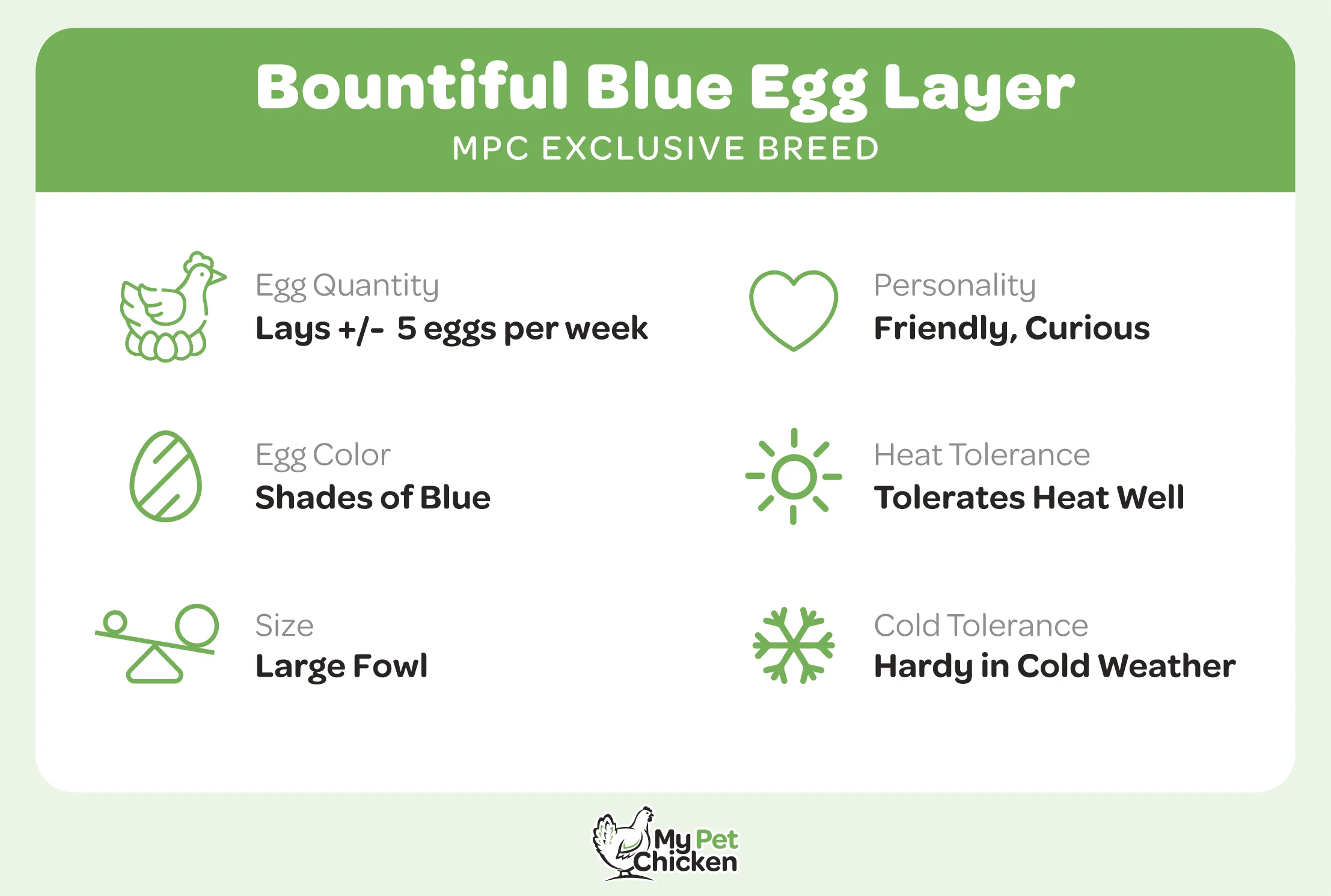 Baby Chicks: Bountiful Blue Egg Layer - Weidukt