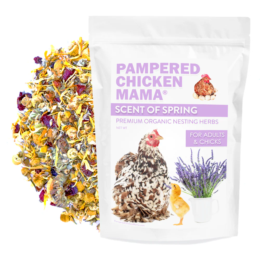 Scent of Spring Nesting Herbs For Backyard Chickens With Lavender, Chamomile, Calendula, and more! - Weidukt