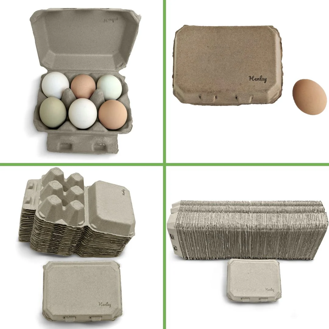 Half Dozen Egg Cartons - Henlay Blank Flat Top, Six Pack, 2 colors, 20 or 100 - Weidukt