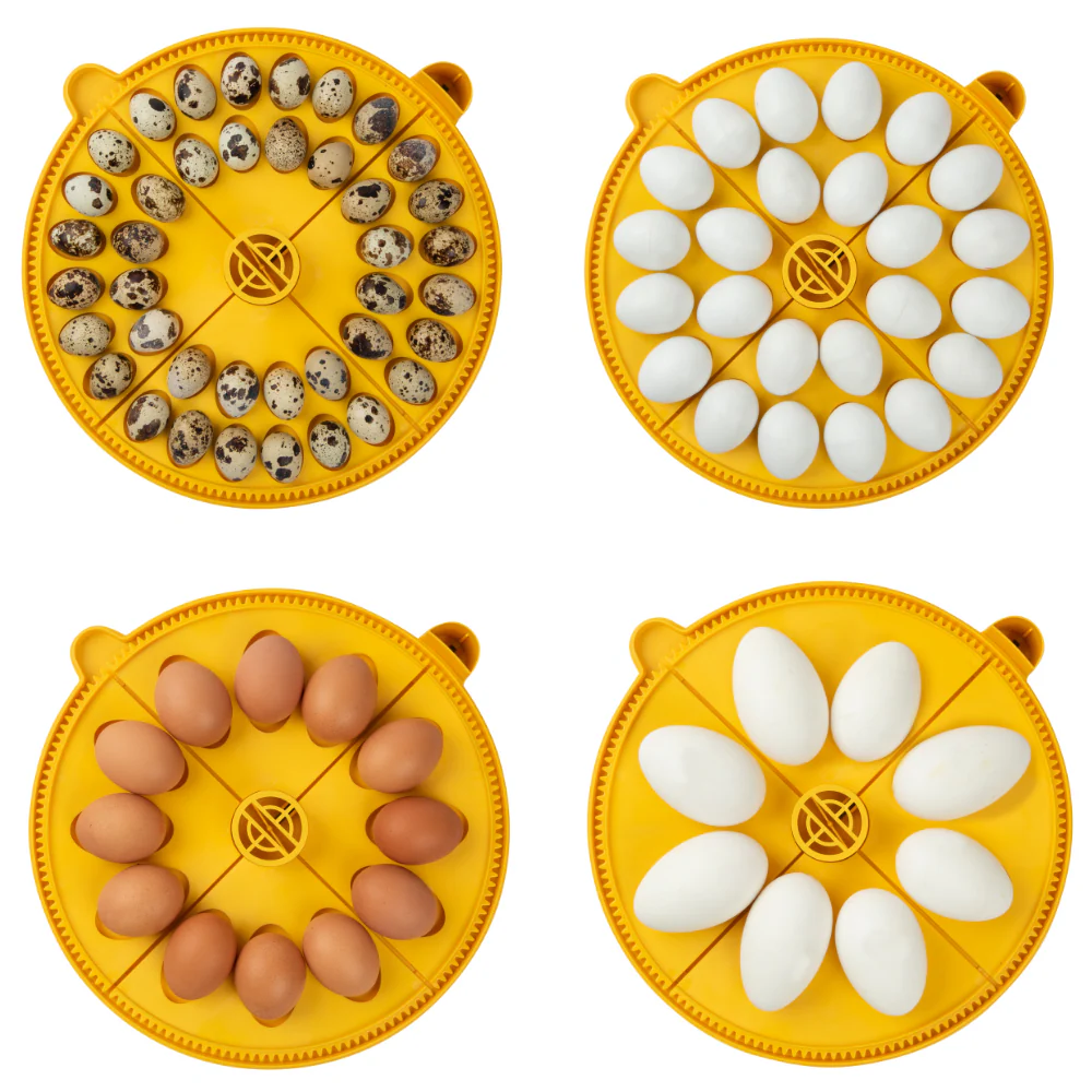 Brinsea Maxi 24 Advance EX Fully Automatic Digital Incubator (24 eggs) - Weidukt