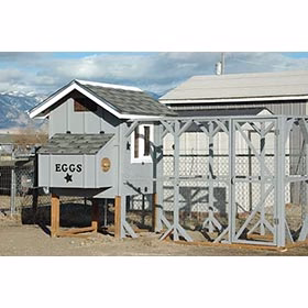 Bella Coop w/ Run Building Plans (6 chickens) - Weidukt