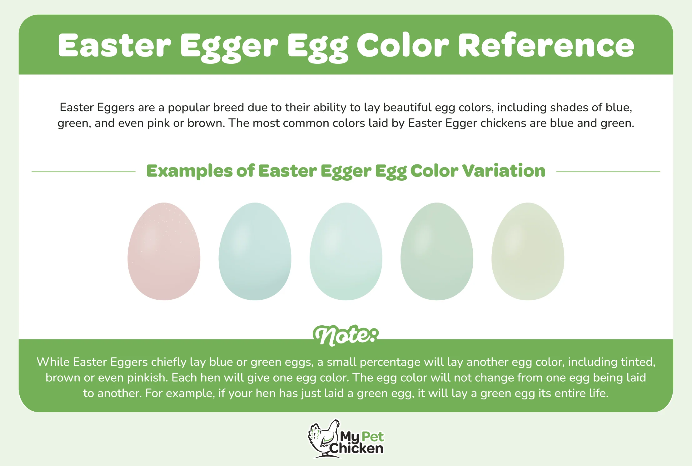 Hatching Eggs: Easter Egger Assortment, Hen Haven Location - Weidukt