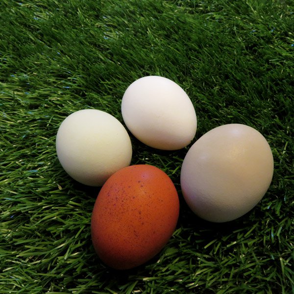 USA-Made Turf Nest Box Liner - Weidukt