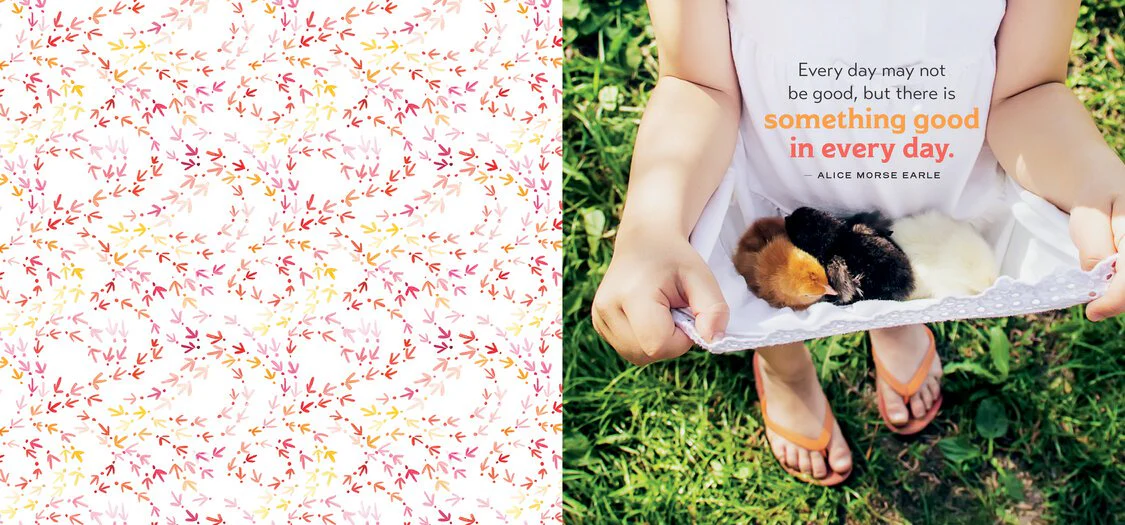 Chicken Wisdom Frame-Ups - Weidukt