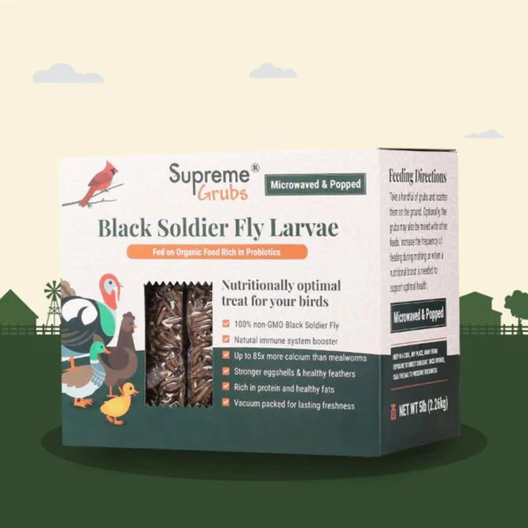 Supreme Grubs Black Soldier Fly Larvae, 2 Sizes - Weidukt