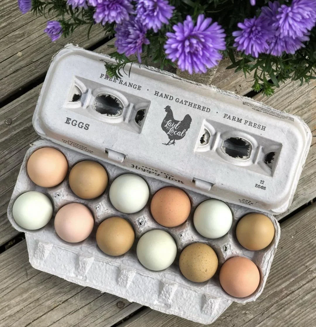 Henlay Laid Local Egg Cartons- Adorable Printed Vintage Design- 25, 90, or 250 - Weidukt