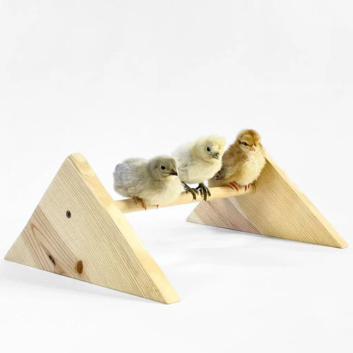 Chick Jungle Gym Kit, 3 size options - Weidukt