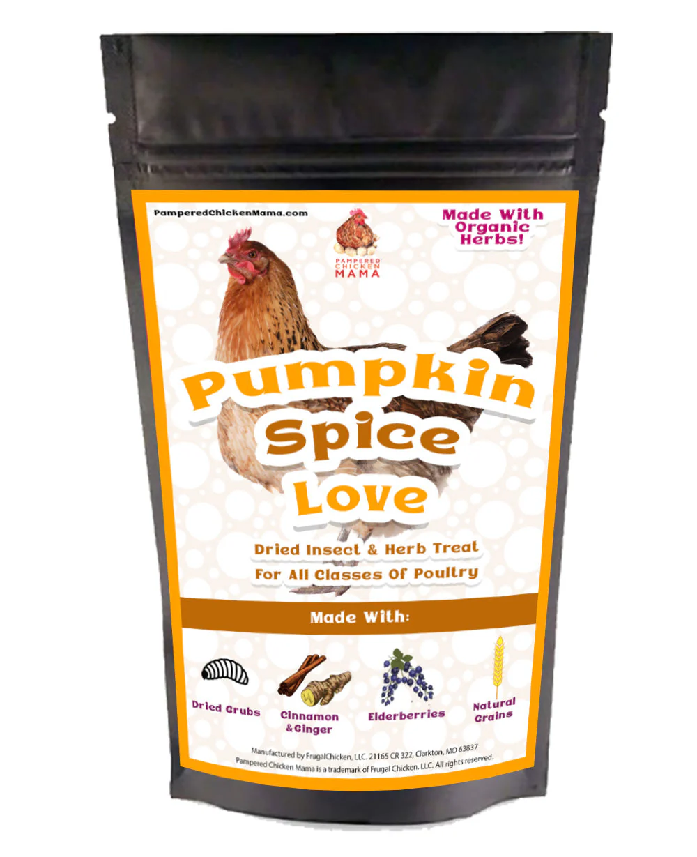Pumpkin Spice Love Textured Treat For Pet Poultry - Weidukt