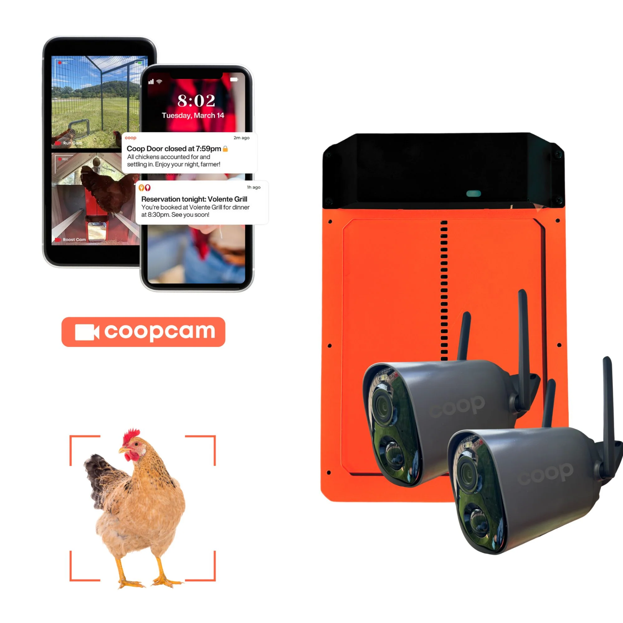 Smart Coop Kit - Weidukt