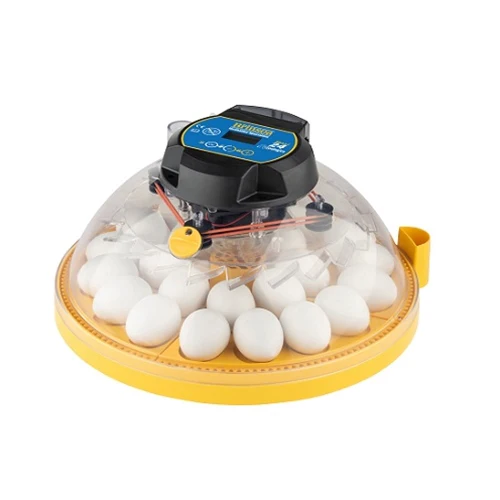 Maxi 24 Zoologica - Exotic Egg Incubator - Weidukt