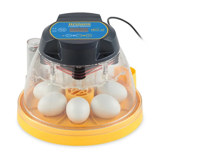 Brinsea Mini II Advance Classroom Incubator and Brooder Pack - Weidukt