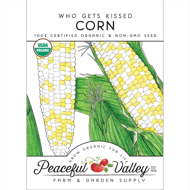 Who Gets Kissed Corn Seeds (Organic) - Weidukt