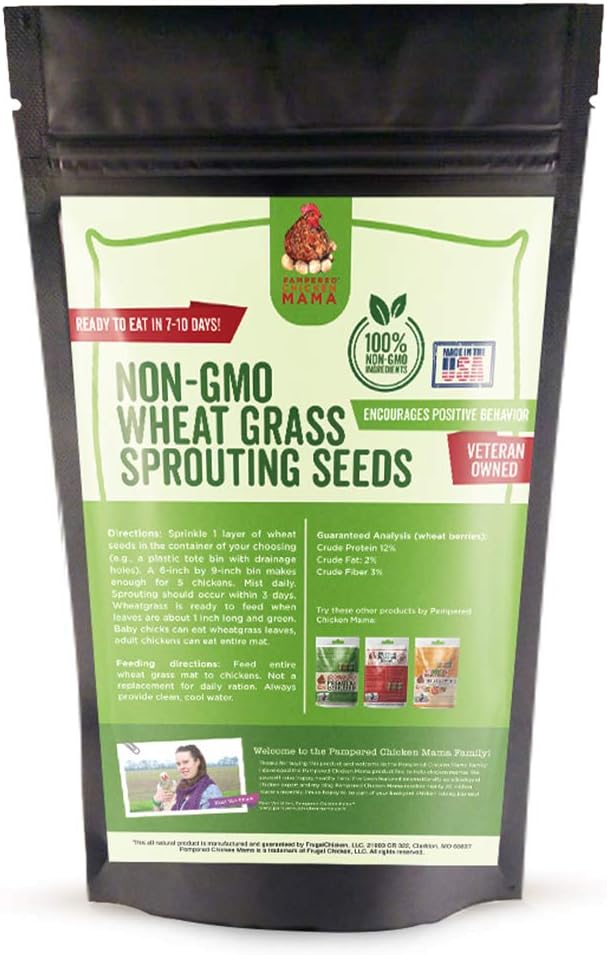 Non-GMO Wheat Seeds for Sprouting Fodder (Wheat Grass) -- Sustainably Grown In Missouri To Encourage Positive Behaviors - Weidukt