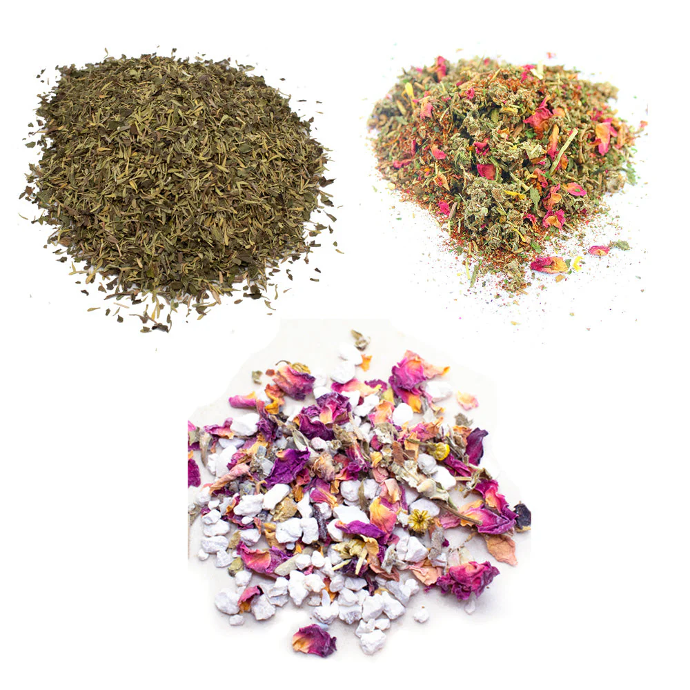 WormBGone Healthy Coop Bundle : 3 Products Chickens Love! (5 pounds total) - Weidukt