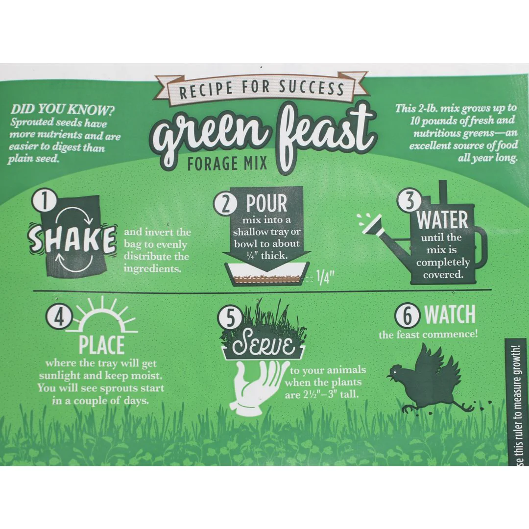 Amturf Green Feast Forage Mix, 2 LB bag - Weidukt