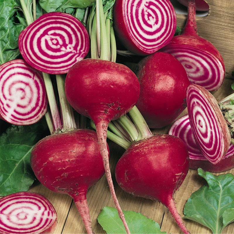 Chioggia Beet Seeds (Organic) - Weidukt