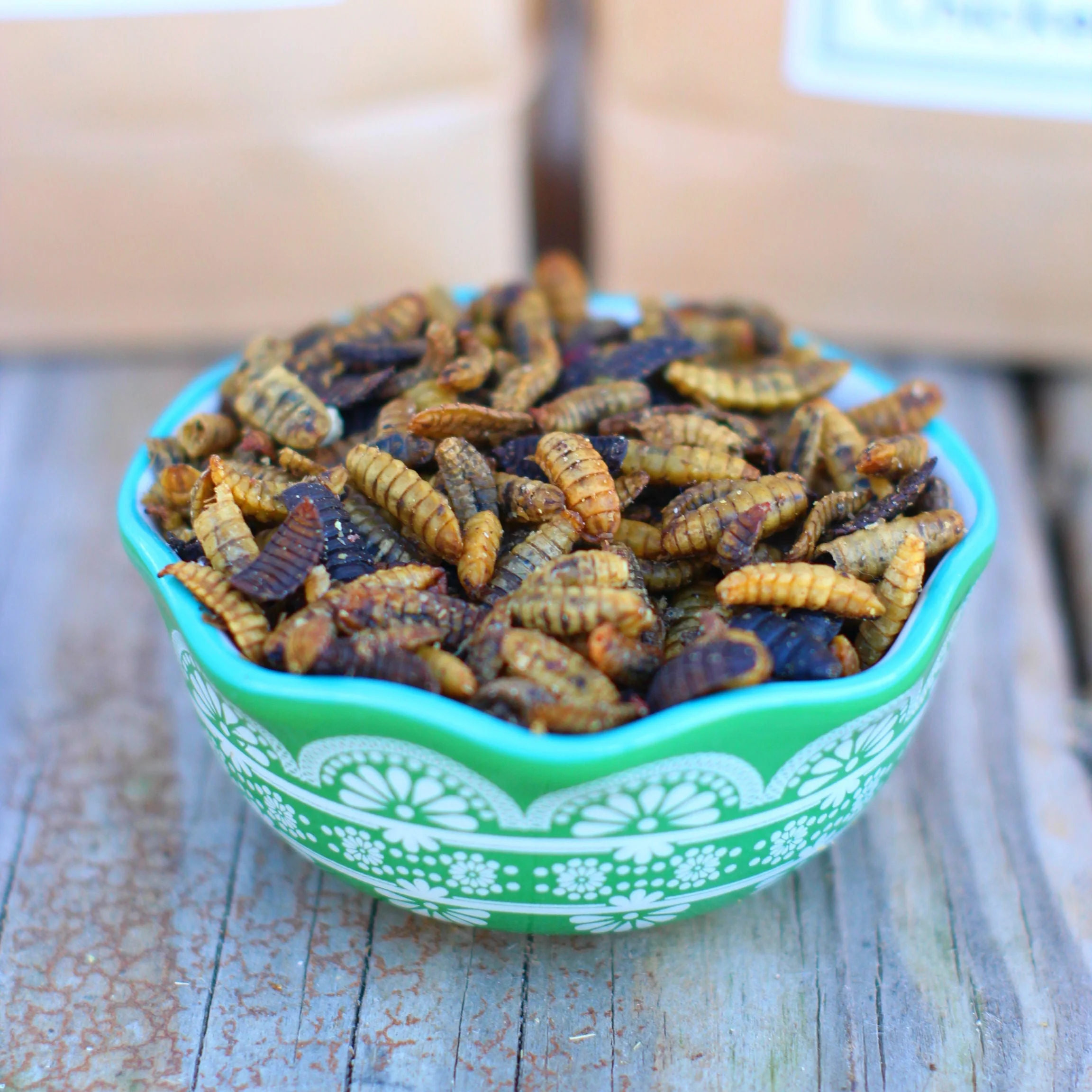 Black Soldier Fly Larvae (From NORTH AMERICA!!) -- LoveBugs For Hens (TM) - Weidukt