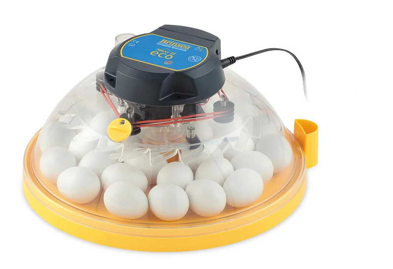 Brinsea Maxi 24 Advance Classroom Incubator and Brooder Pack - Weidukt